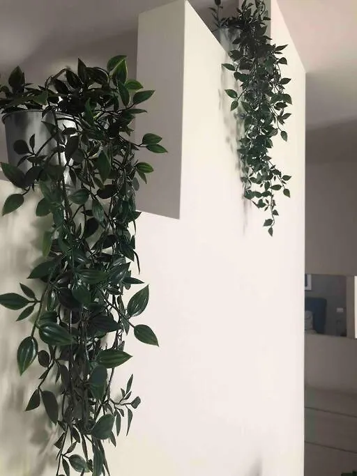 Appartamento In Zona Centrale A Uso Esclusivo Bari Italia